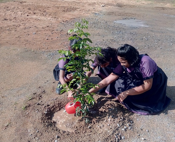 Plantation Activity and Energy Conservation Programme